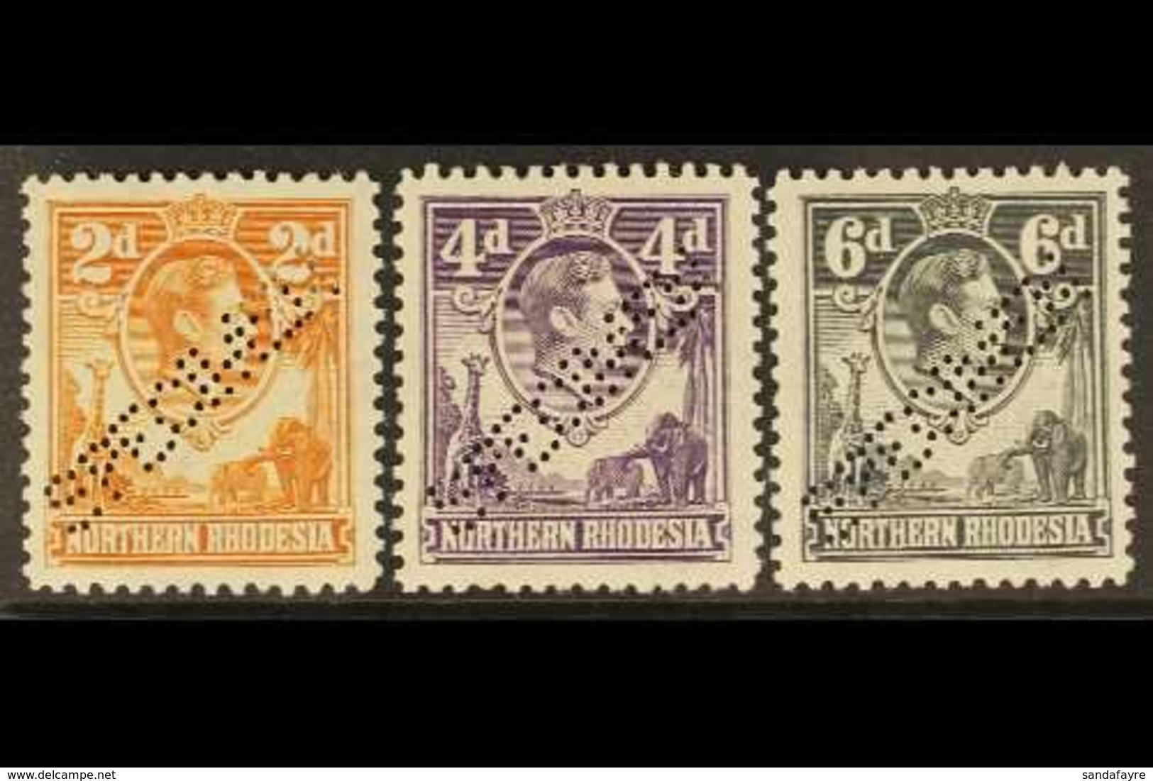 1938-52 KGVI SPECIMENS  Presented On A Stock Card & Include 2d Yellow-brown, 4d Dull Violet & 6d Grey, Each Perfin "SPEC - Nordrhodesien (...-1963)