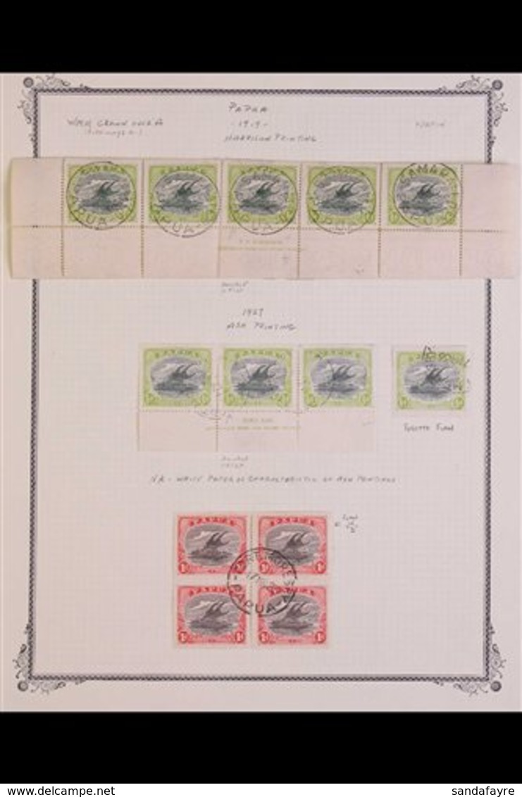 1916-31 LAKATOI SPECIALIZED VARIETIES.  A Specialists, Very Fine Used Selection Of Lakatoi Issues Bearing Minor Constant - Papua New Guinea
