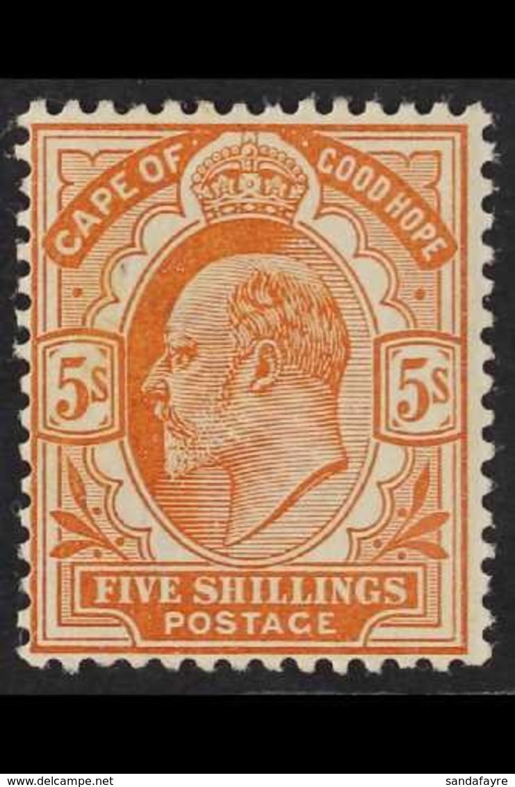 CAPE OF GOOD HOPE  1902 5s Brown Orange, Ed VII, SG 78, Very Fine And Fresh Mint. For More Images, Please Visit Http://w - Unclassified