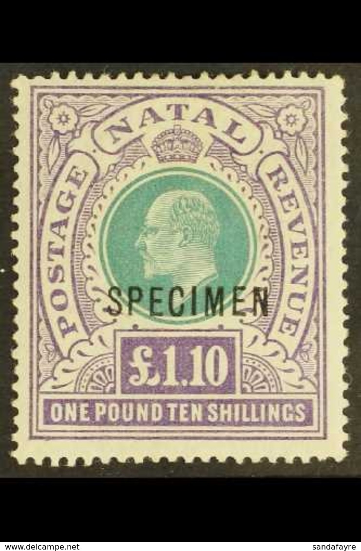 NATAL  1902 £1.10 Green And Violet Opt'd "SPECIMEN", SG 143s, Very Fine Mint. For More Images, Please Visit Http://www.s - Ohne Zuordnung