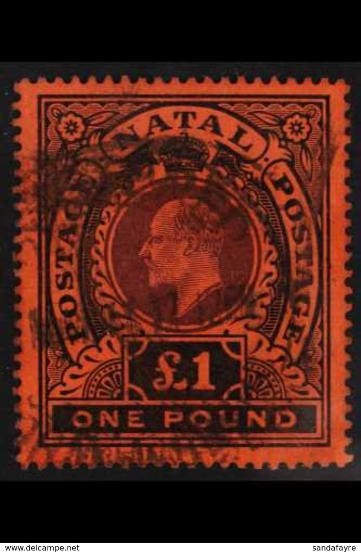 NATAL  1908-09 KEVII £1 Purple And Black / Red, SG 171, Fine Used With Unusual Rubber Registered Oval Pmk. For More Imag - Zonder Classificatie