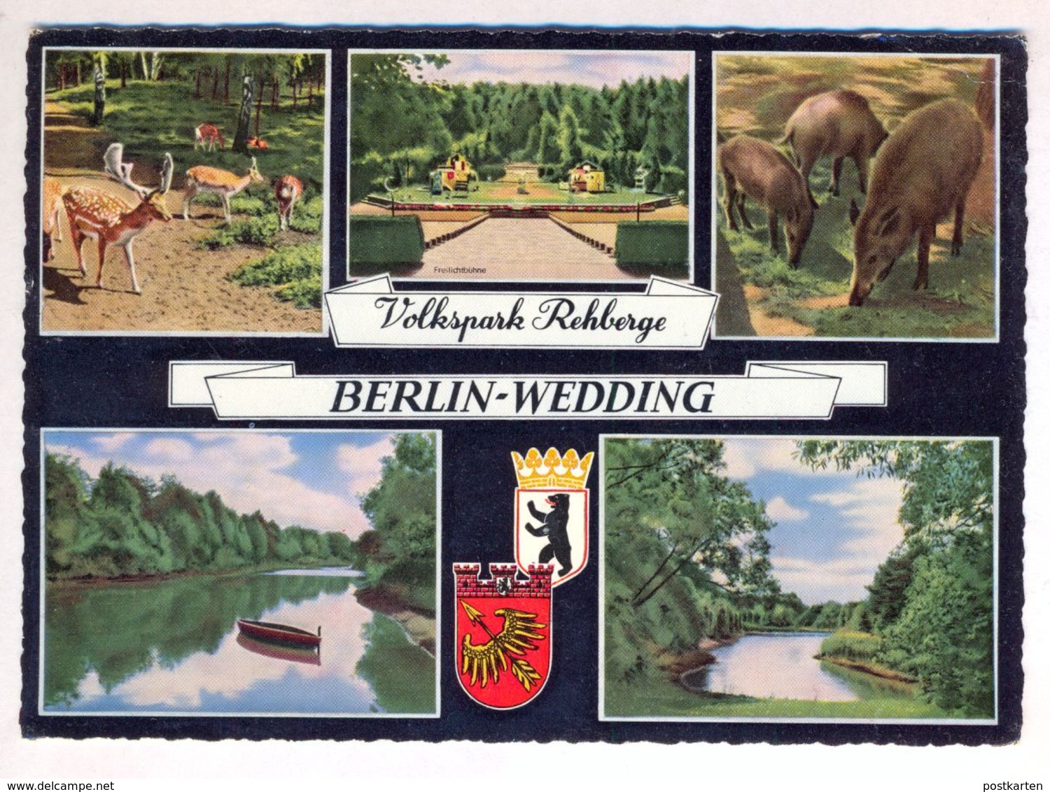 ÄLTERE POSTKARTE BERLIN WEDDING TIERPARK REHBERGE Hirsch Rehe Reh Wildschweine Zoo Park Ansichtskarte AK Cpa Postcard - Wedding