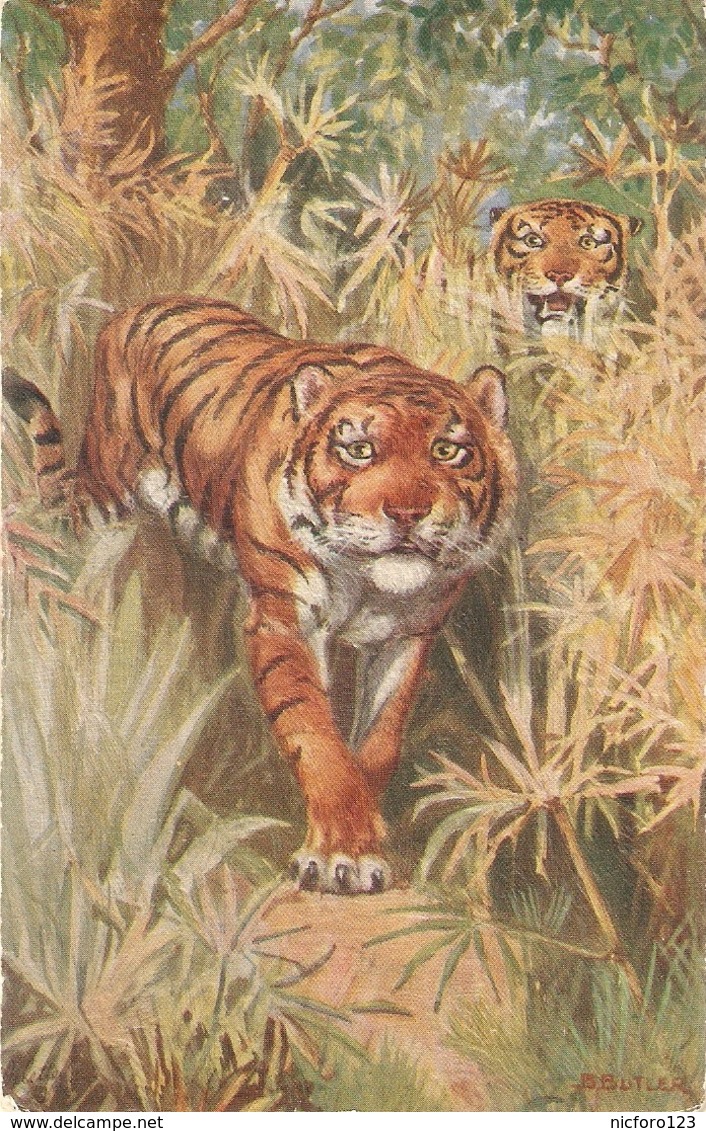 "B.Butler. Wild Animals" Lot Of Four (4)Tuck Oilette Wild Animals Ser PC # 3001 - Tuck, Raphael