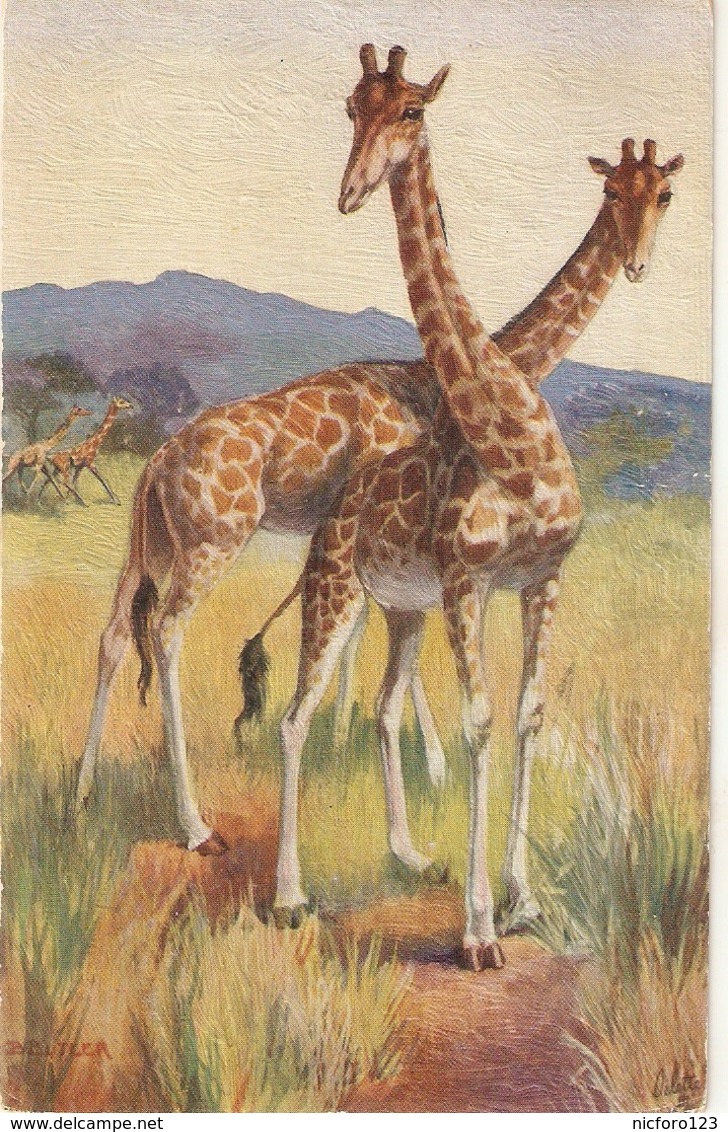 "B.Butler. Wild Animals" Lot Of Four (4)Tuck Oilette Wild Animals Ser PC # 3001 - Tuck, Raphael