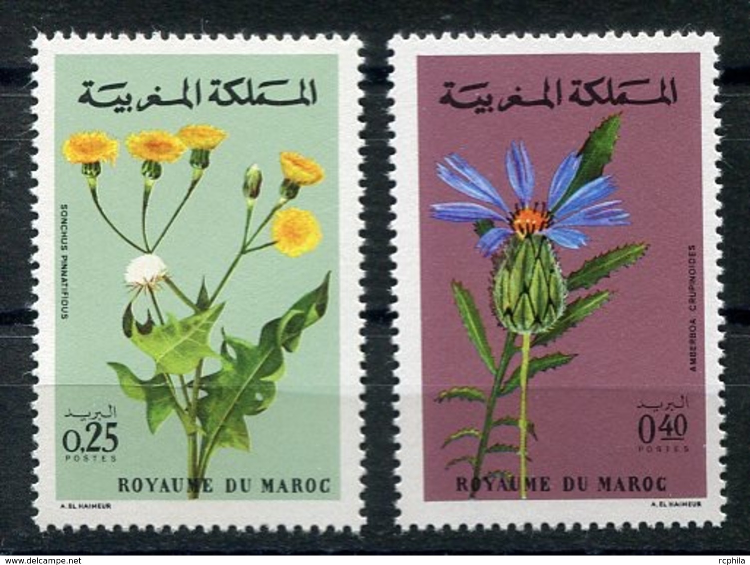 RC 14391 MAROC N° 648 / 649 FLEURS NEUF ** - Marruecos (1956-...)