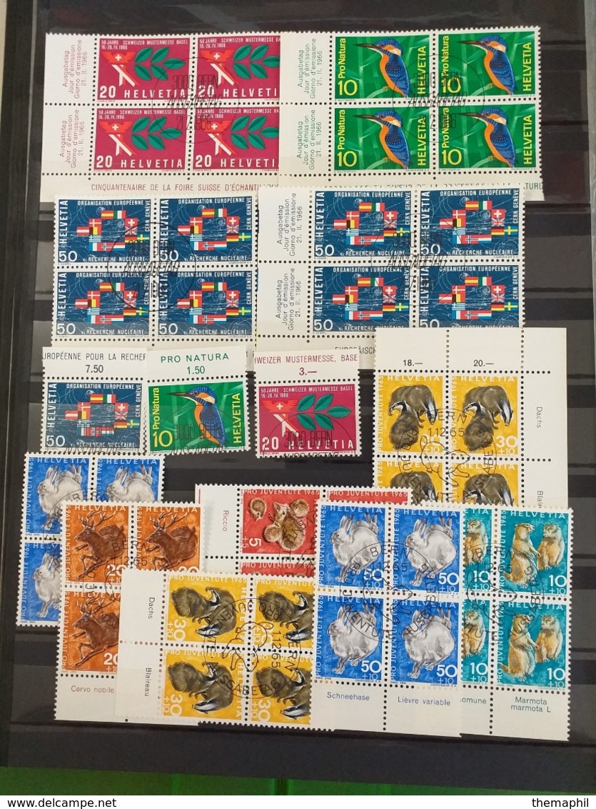 lot n° TH.1082 SUISSE collection en 2 classeurs nombreux blocs de 4 neufs** ou obl