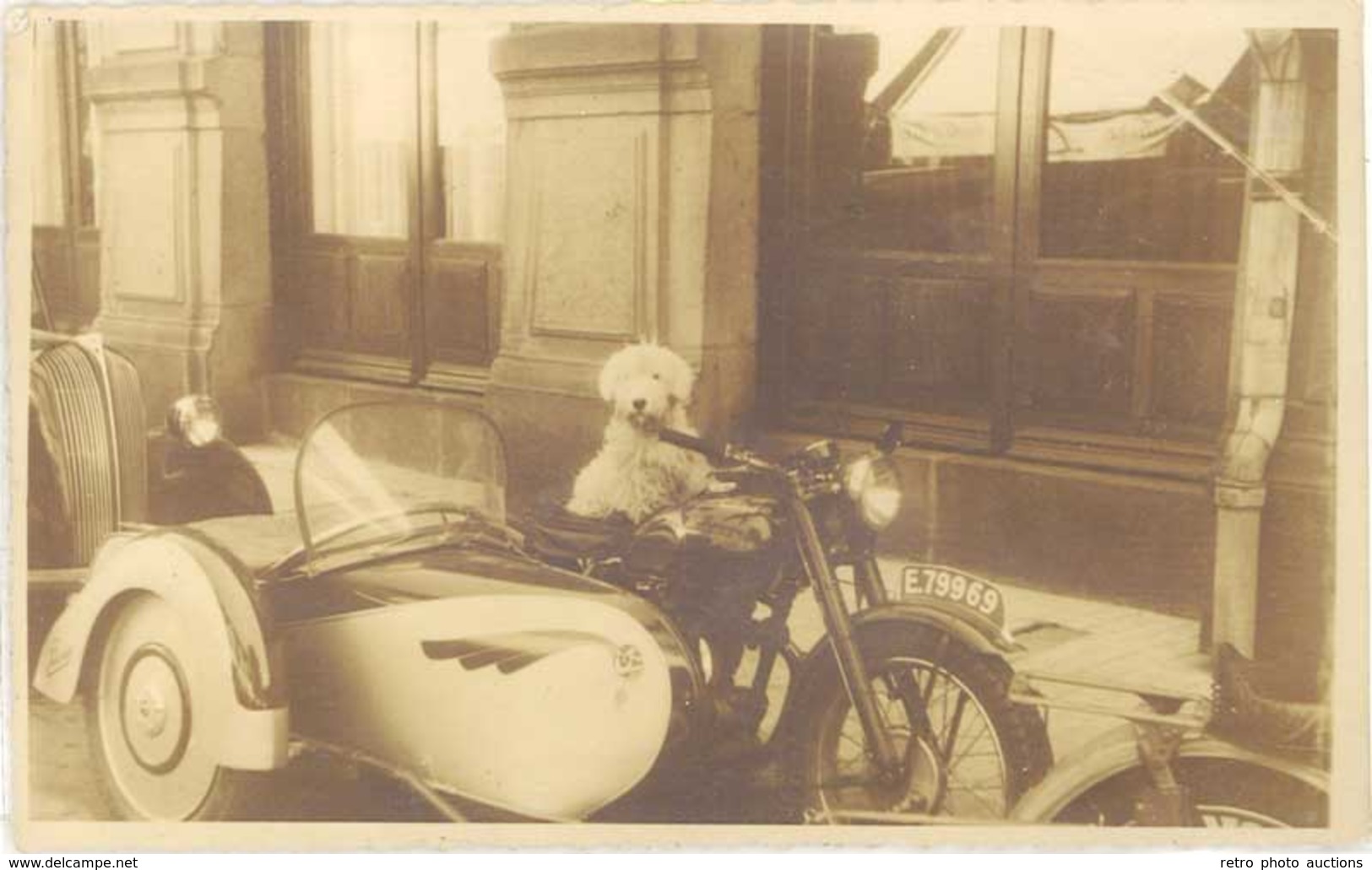 TB Auto / Moto – Carte-photo Side-Car & Chien, Triumph ? - Otros & Sin Clasificación