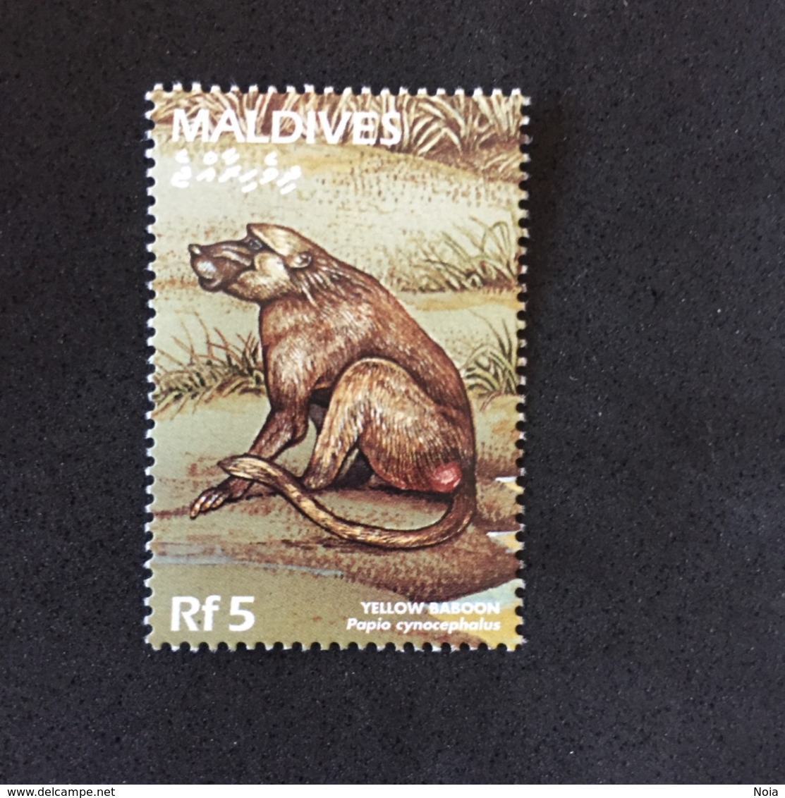 MALDIVES. YELLOW BABOON. MNH. 5R1204E - Chimpanzees