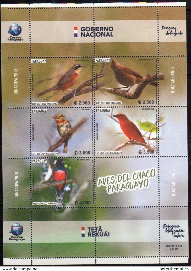 PARAGUAY, 2018, MNH, BIRDS, SHEETLET - Other & Unclassified
