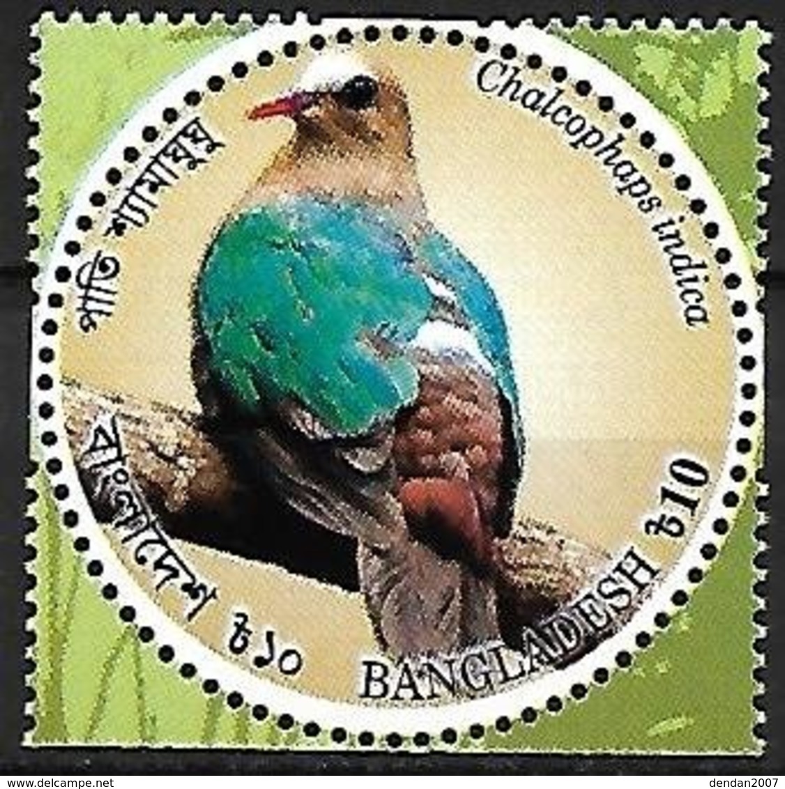 BANGLADESH - MNH - 2016 :     Common Emerald Dove  -  Chalcophaps Indica - Tauben & Flughühner