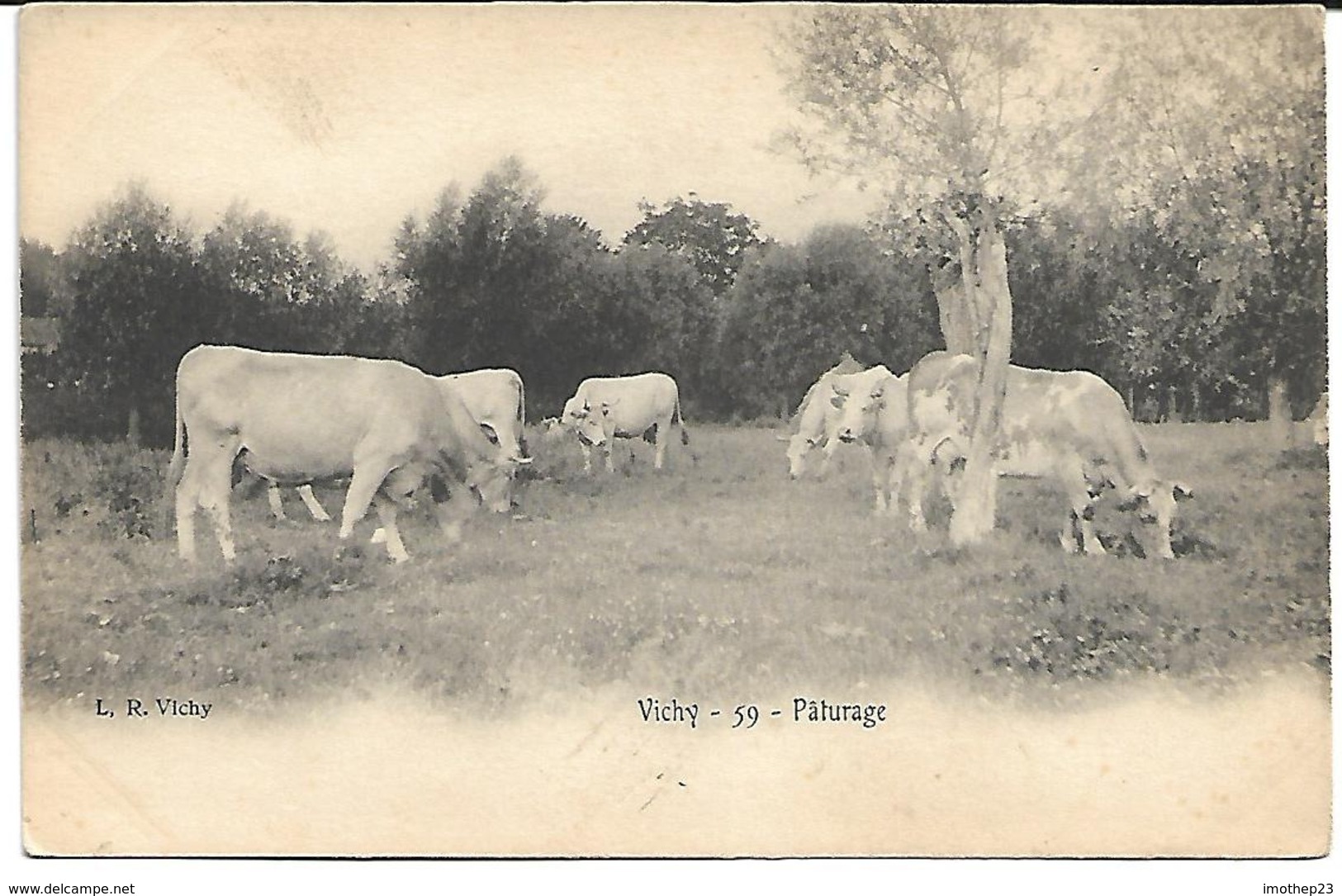 Vichy:Paturage - Vichy