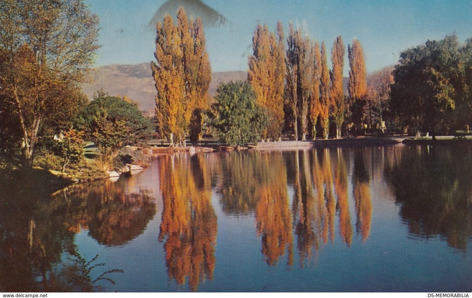 Reno NV - Wingfield Park In Autumn Postcard 1960s - Reno