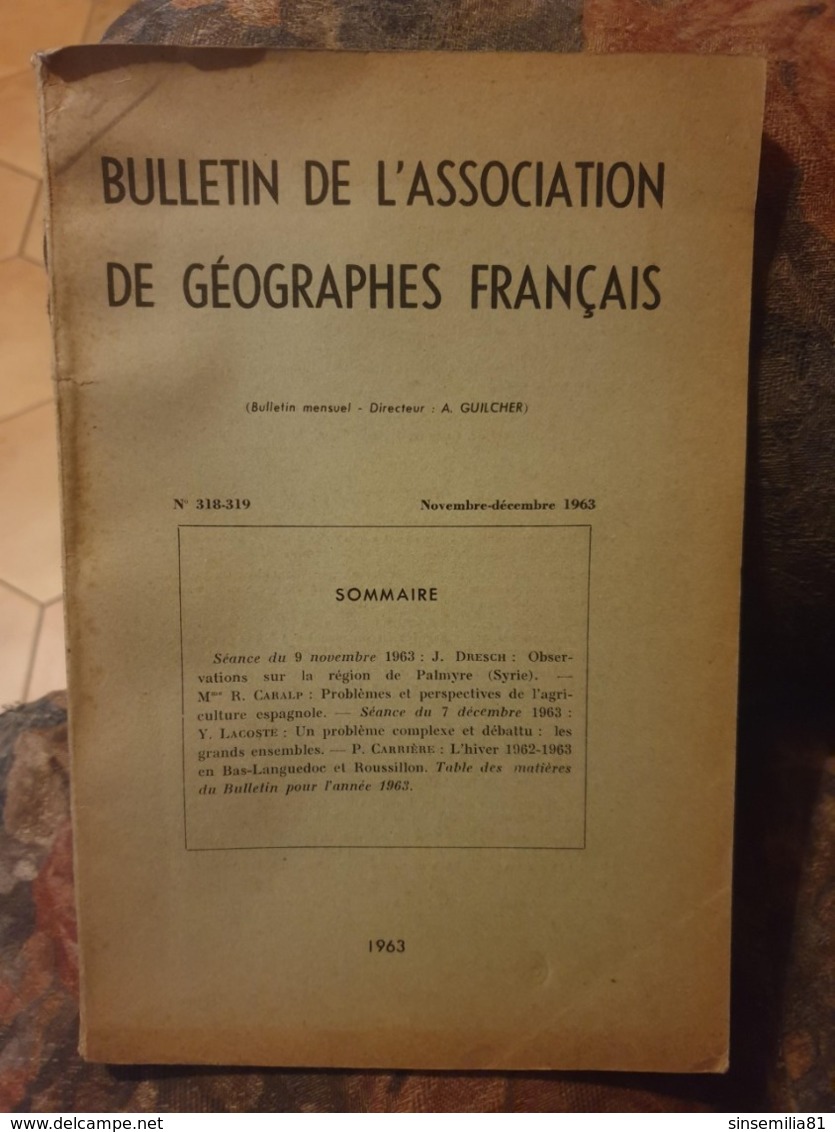 Bulletin De L'association De Geographes Francais 318 319 - Géographie