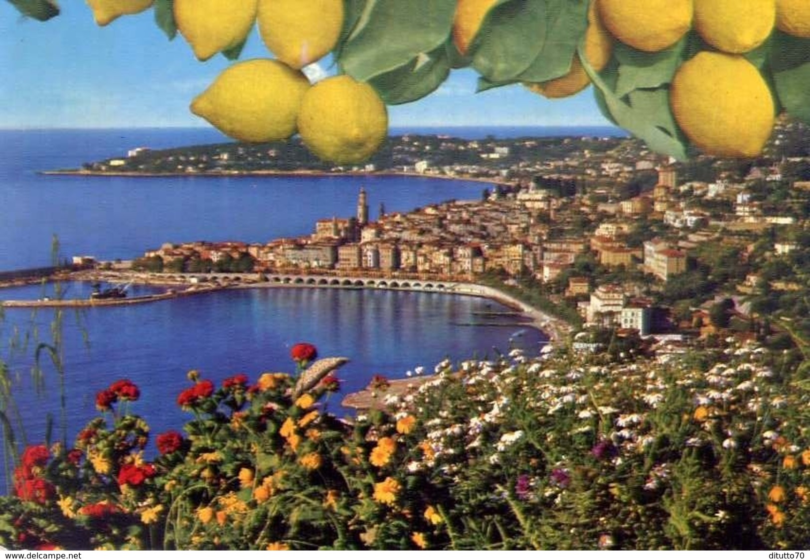 Menton - Vue Generale Et Le Cap Martin - Formato Grande Non Viaggiata – E 14 - Menton