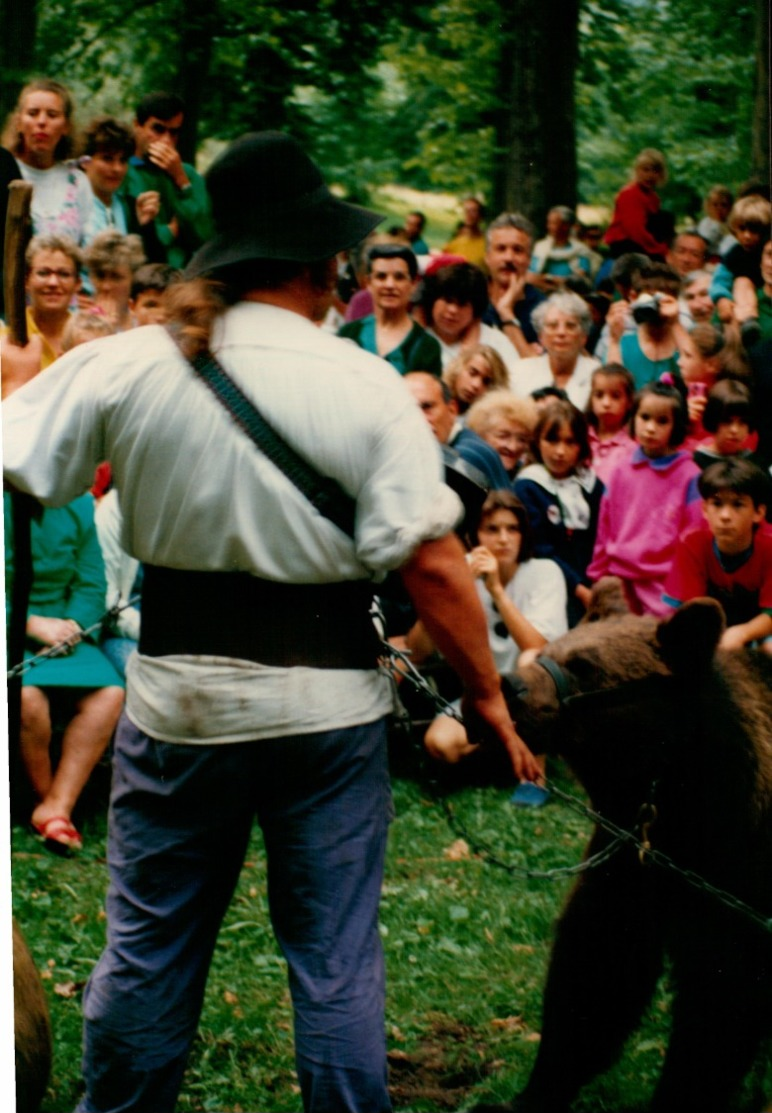 OURS ARIEGE MONTREUR  OURS DIMITRI PHOTO - Oust