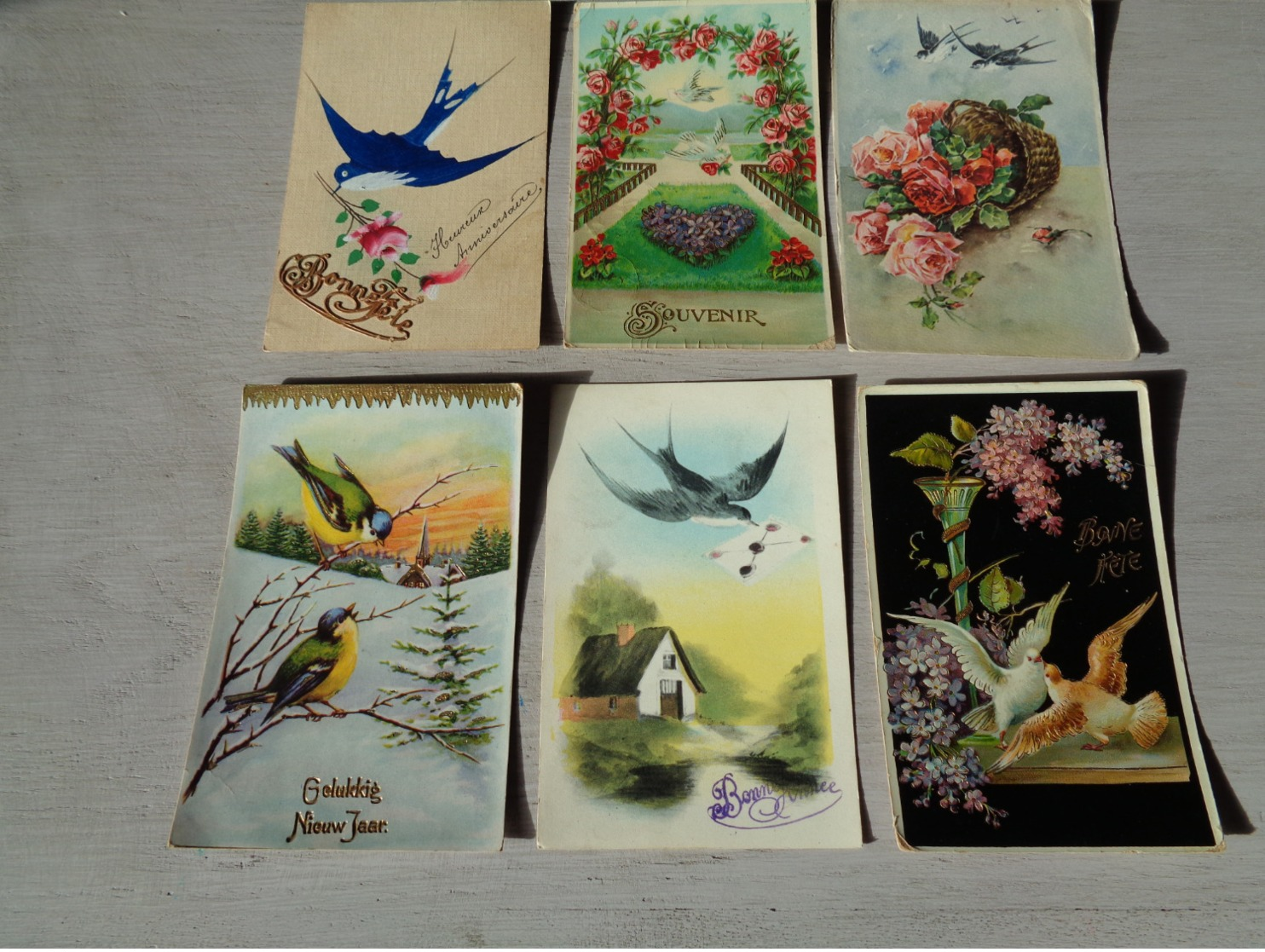 Beau lot de 60 cartes postales de fantaisie oiseaux  oiseau  Mooi lot van 60 postkaarten fantasie  vogels  vogel