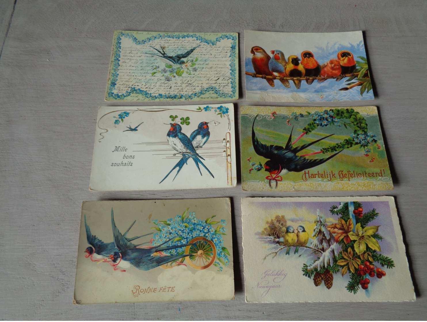 Beau lot de 60 cartes postales de fantaisie oiseaux  oiseau  Mooi lot van 60 postkaarten fantasie  vogels  vogel