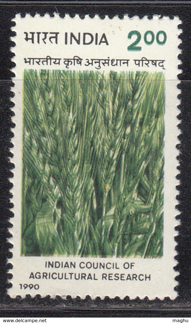 India MNH 1990, ICAR Indian Council Of Agriculture Research, Science, Wheat, Grain, Plant - Ungebraucht