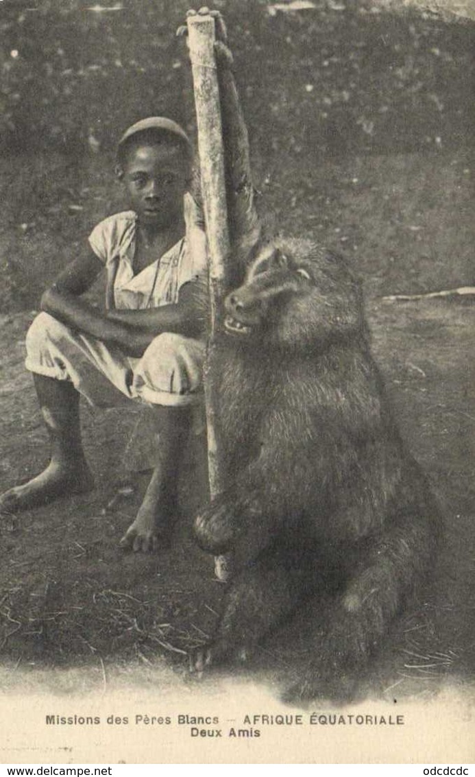 Missions Des Pères Blancs AFRIQUE EQUATORIALE  Deux Amis Gorille Et Jeune Homme  RV - Missions