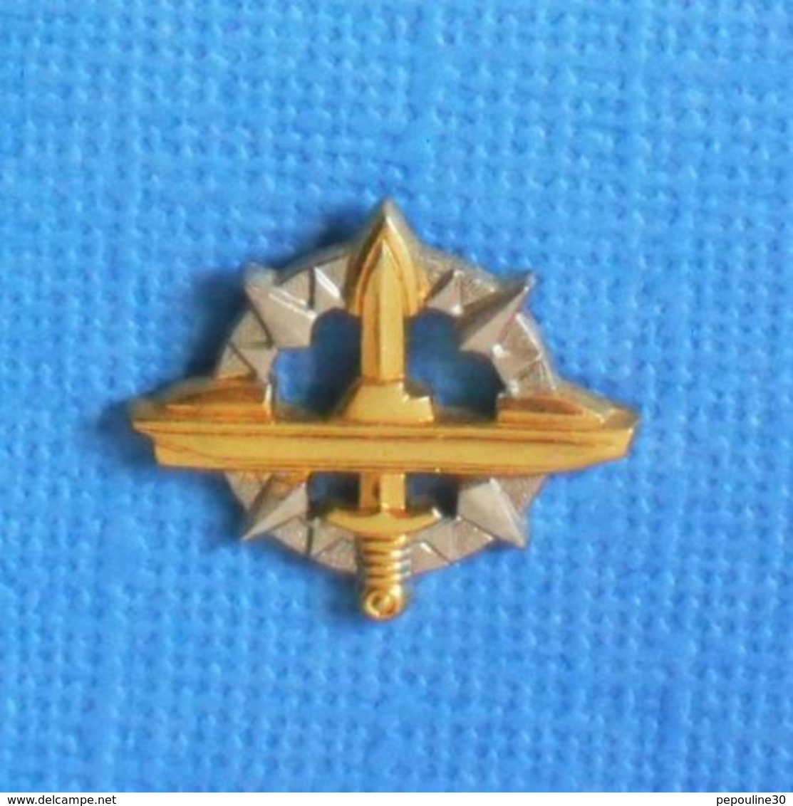 1 PIN'S //   ** INSIGNE DU CERTIFICAT D'APTITUDE Ä LA NAVIGATION SOUS-MARINE / SOUS-MARINIER ** - Militaria