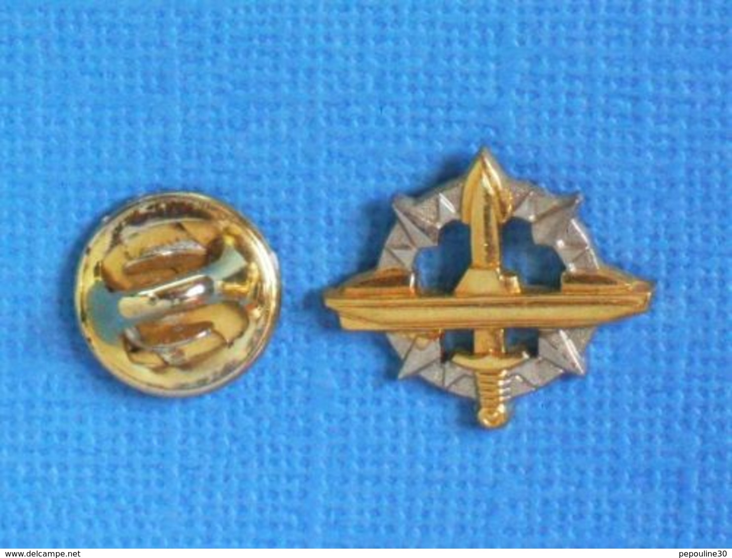 1 PIN'S //   ** INSIGNE DU CERTIFICAT D'APTITUDE Ä LA NAVIGATION SOUS-MARINE / SOUS-MARINIER ** - Militaria