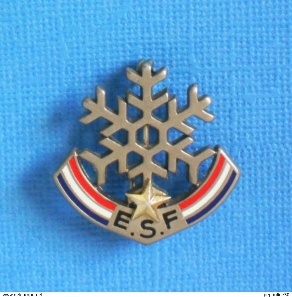 1 BROCHE //   ** E.S.F / ÉCOLE DU SKI FRANÇAIS / FLOCON 1 ÉTOILES ** . (Decat Paris) - Wintersport