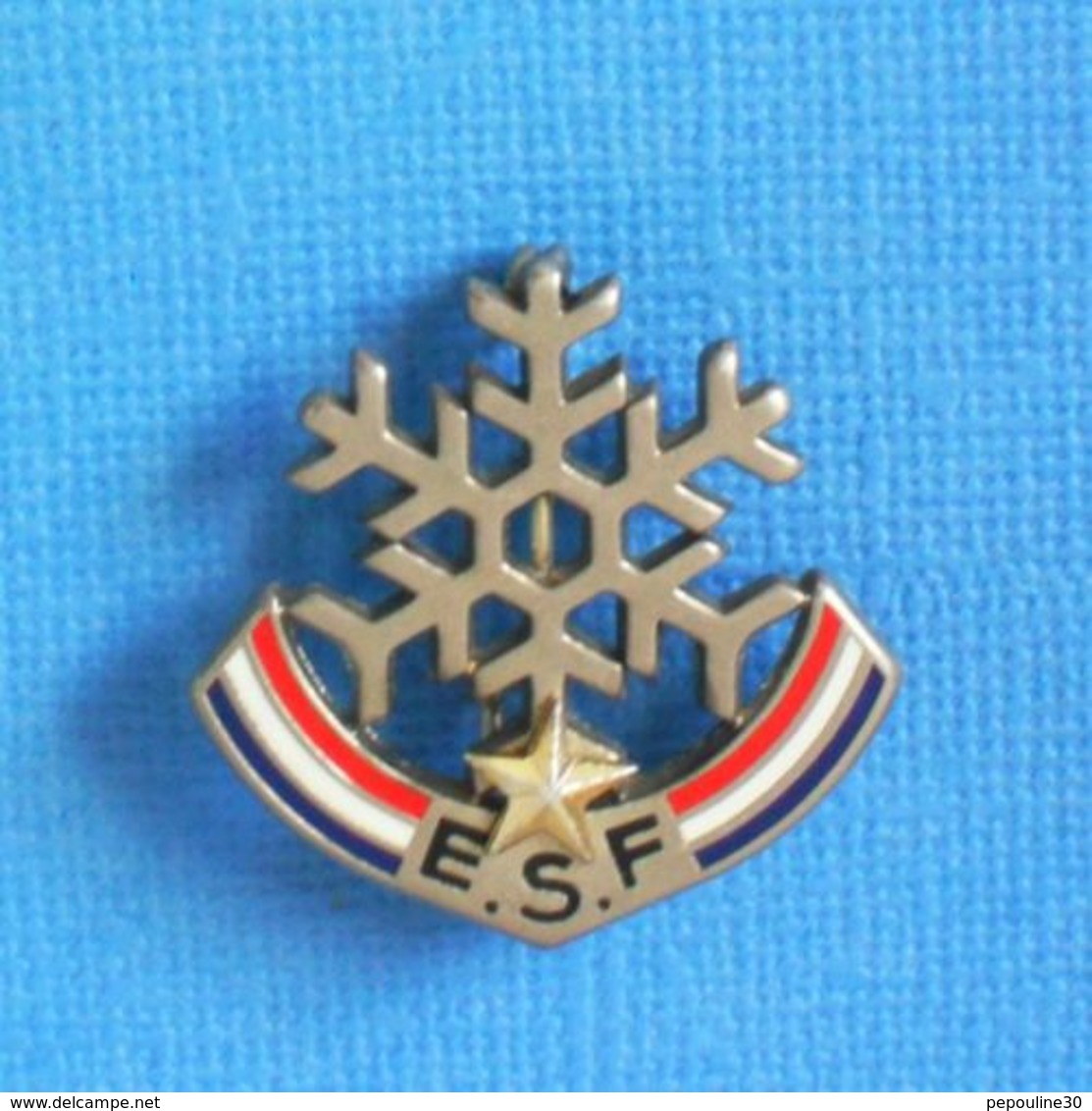 1 BROCHE //   ** E.S.F / ÉCOLE DU SKI FRANÇAIS / FLOCON 1 ÉTOILES ** . (Decat Paris) - Wintersport