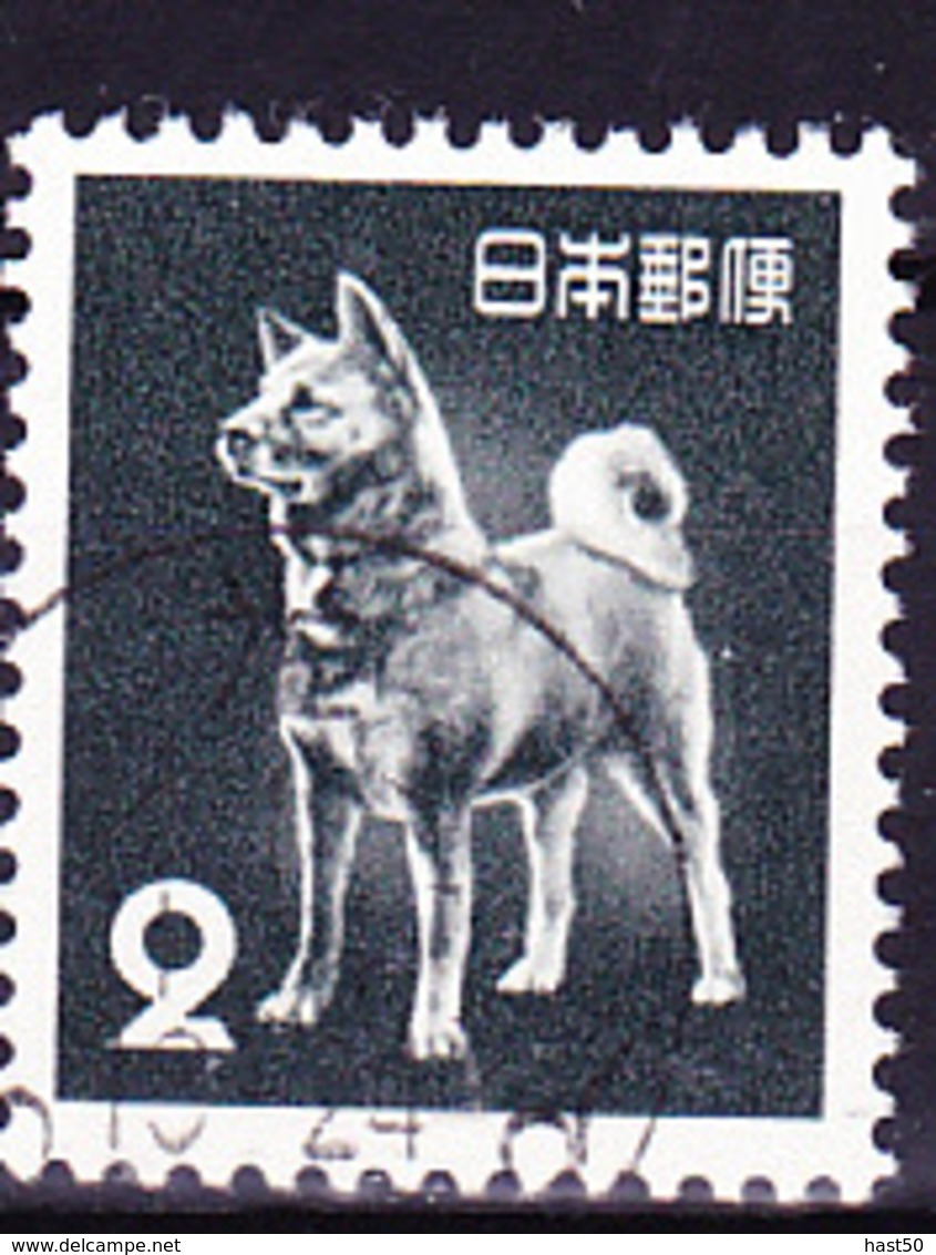 Japan - Akita-Hund (MiNr: 585) 1953 - Gest Used Obl - Used Stamps