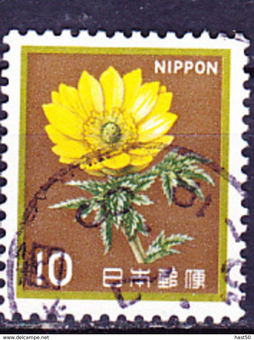 Japan - Amur-Adonisröschen (Adonis Amurensis) (MiNr: 1517) 1982 - Gest Used Obl - Gebruikt