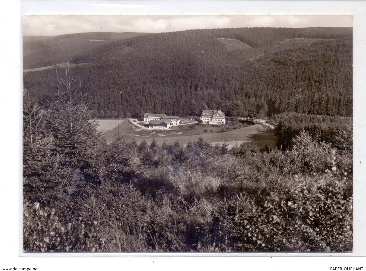 5948 SCHMALLENBERG - RIMBERG, Hotel Pension Knoche, 1965 - Schmallenberg