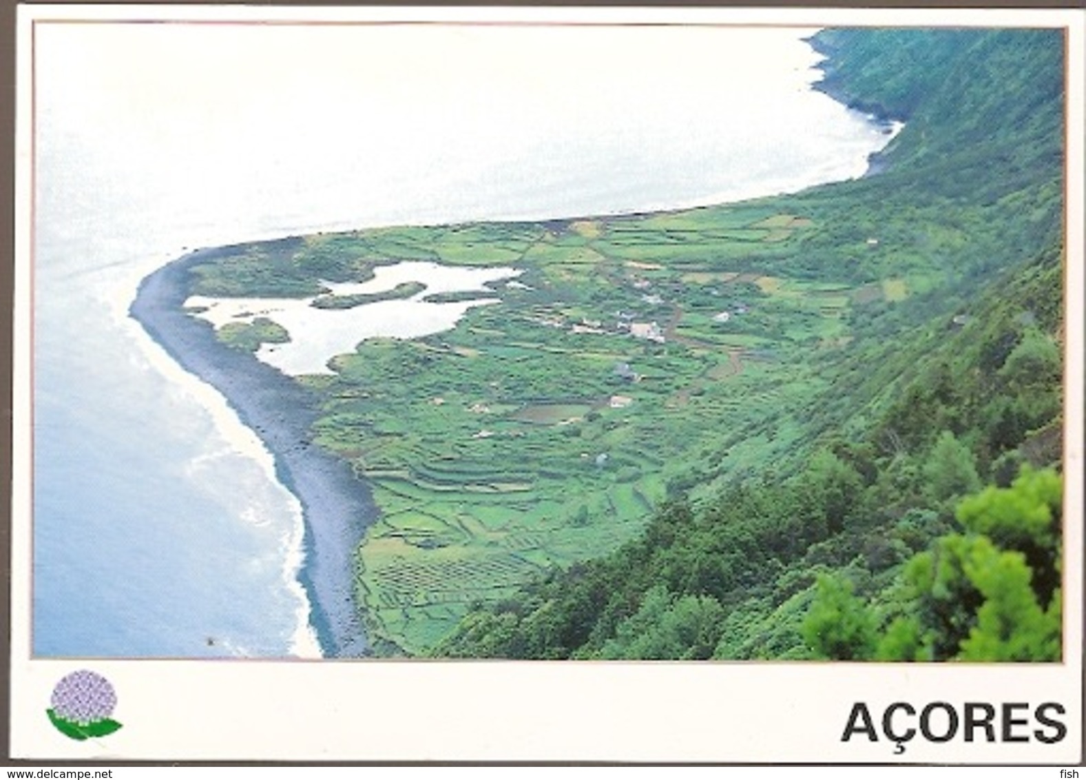 Portugal ** & Postal Stationery, Teal, Anas Crecca, Faja Dos Vimes São Jorge Azores 1998 (9) - Interi Postali