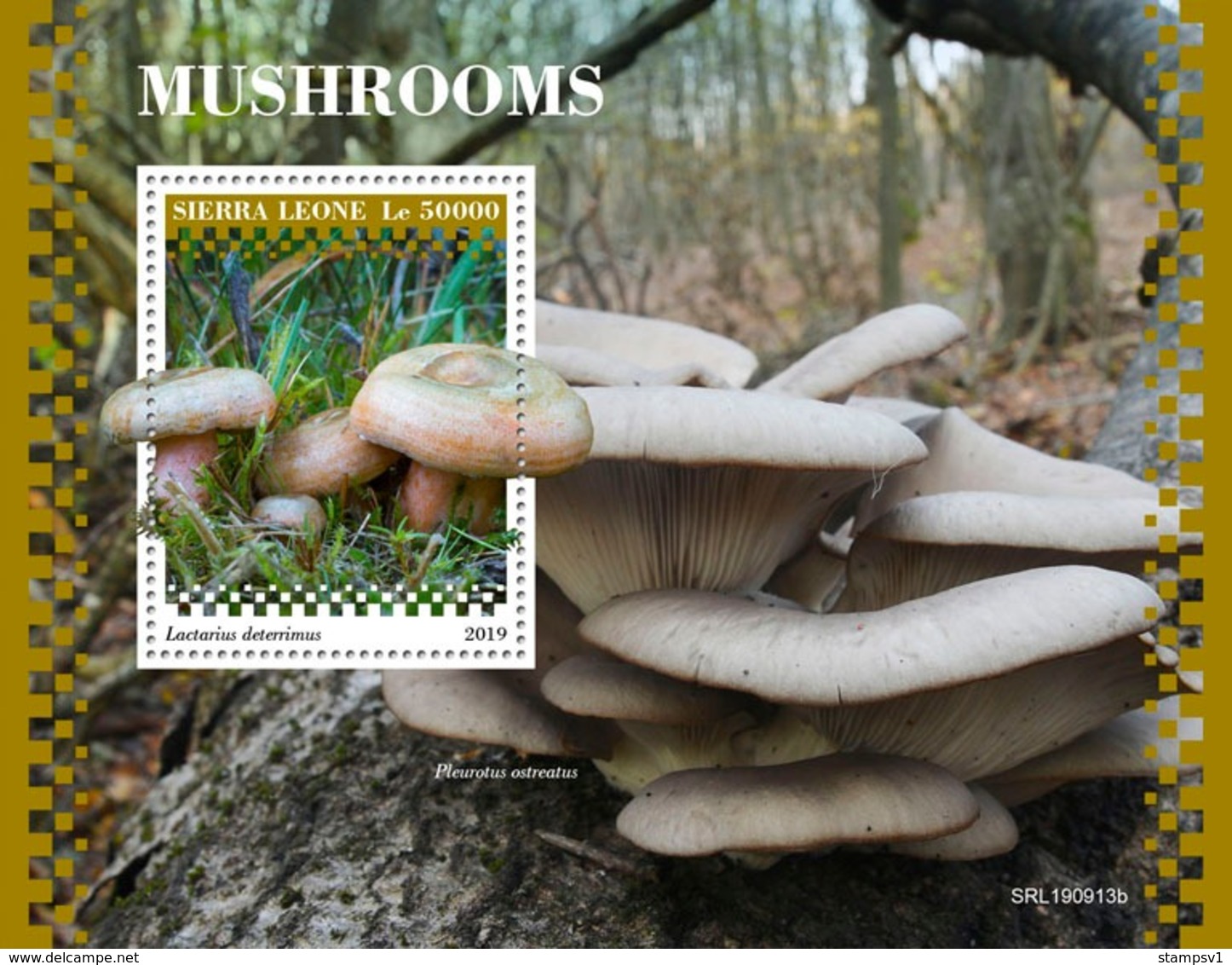 Sierra Leone. 2019 Mushrooms. (0913b)  OFFICIAL ISSUE - Funghi