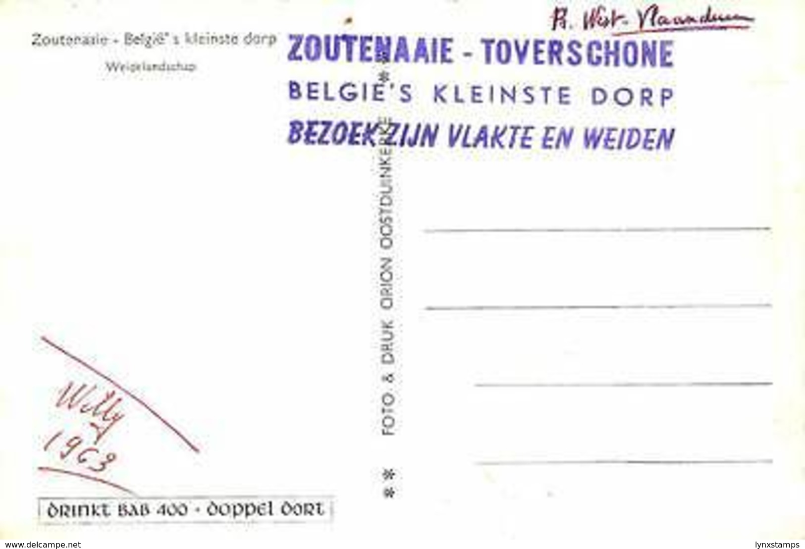 Belgium Zoutenaaie Belgie's Kleinste Dorp Weidelandschap Cows Animals - Andere & Zonder Classificatie