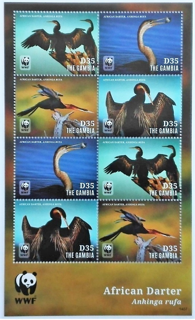 # Gambia 2014**Mi.6917-20. Birds , MNH [14;115] - Otros & Sin Clasificación