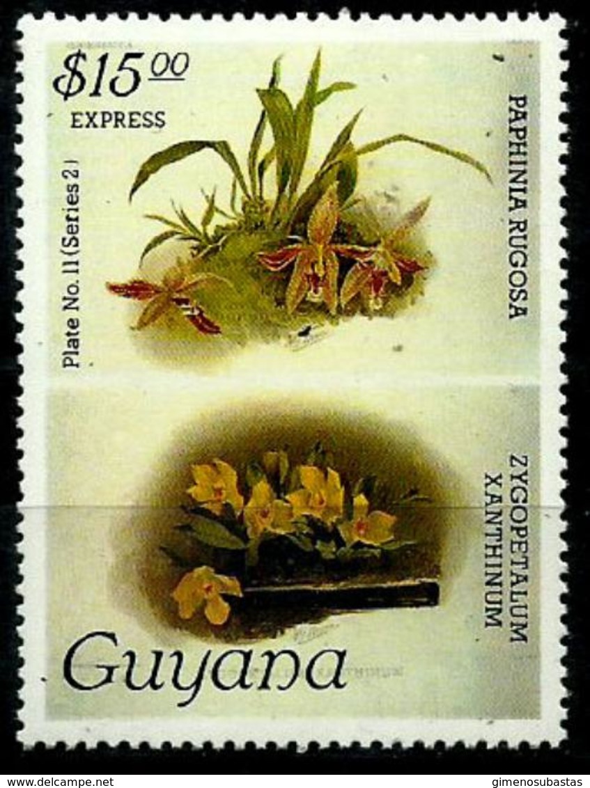 Guyana Expreso Nº 8 En Nuevo - Guyana (1966-...)