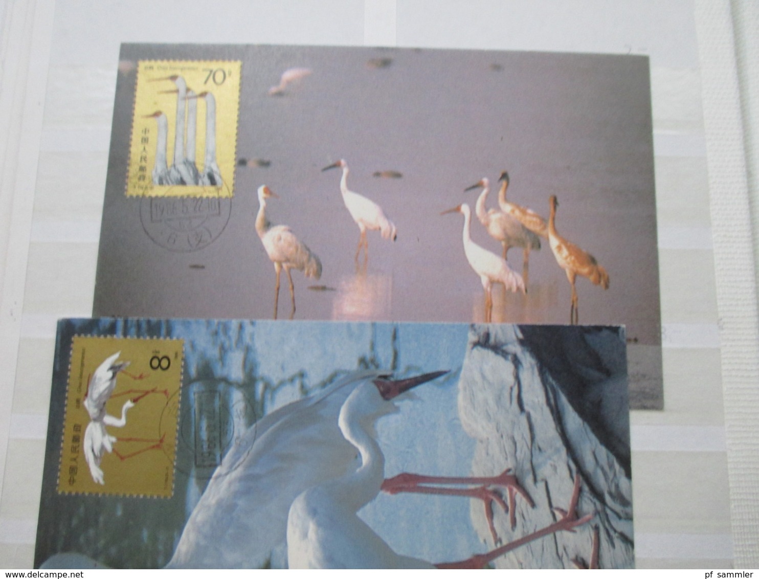 China Album ab Drache - ca. 1985, Goldfische 1960 ** viele Marken / Sätze sehr hoher Katalogwert u. Fundgrube Radiogym