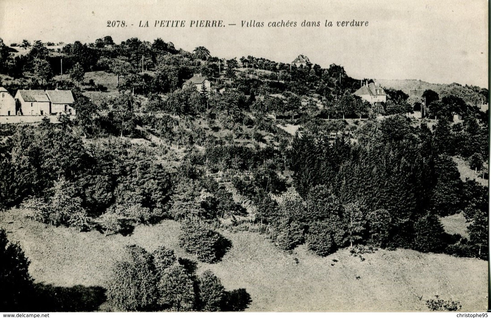 67 .20552 .la Petite Pierre .villas Cachees Dans La Verdure .vue Generale . - La Petite Pierre