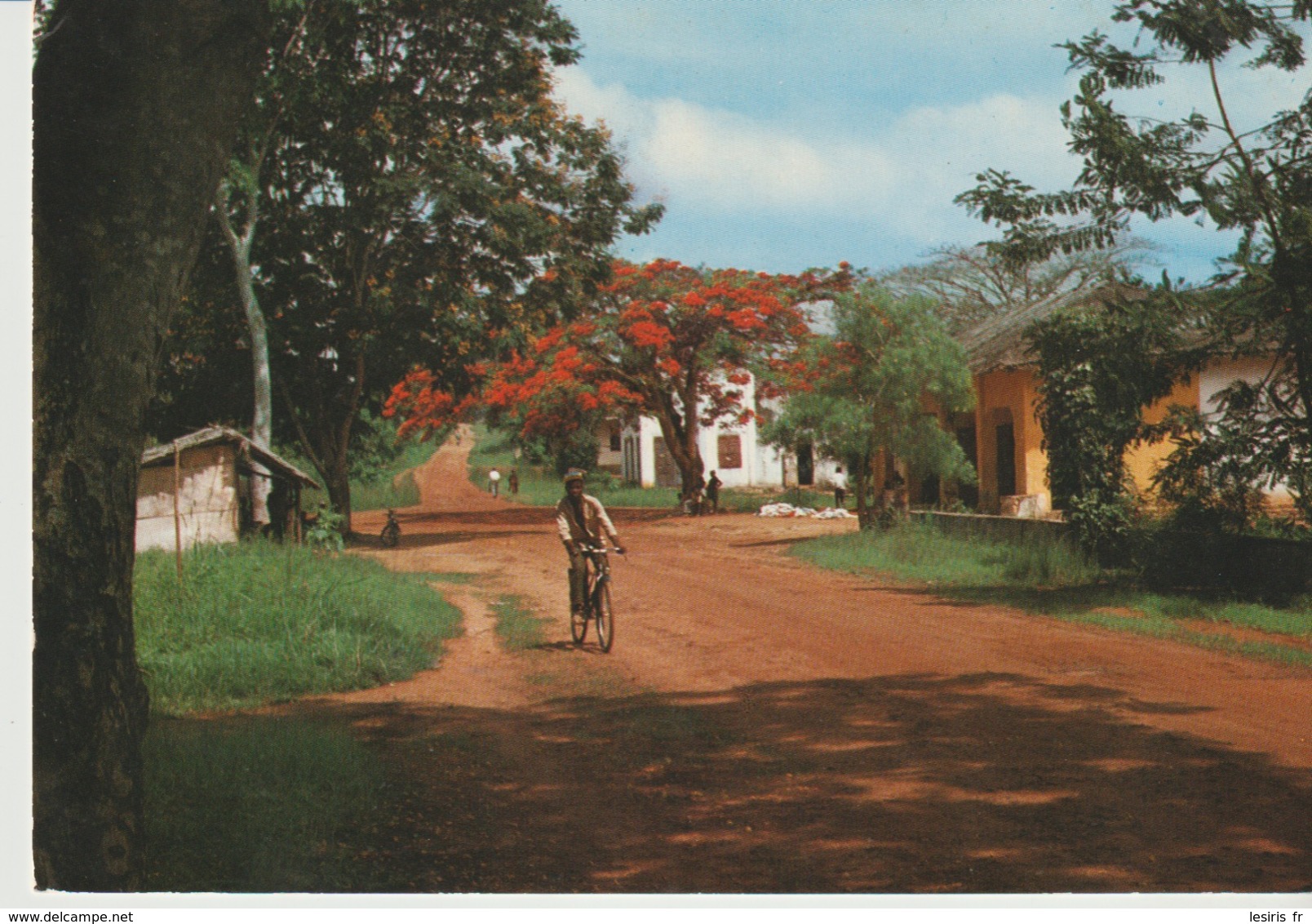 C. P. - PHOTO - IMAGES DU GABON - LEBAMBA - A 61 - J. TROLEZ - Gabón