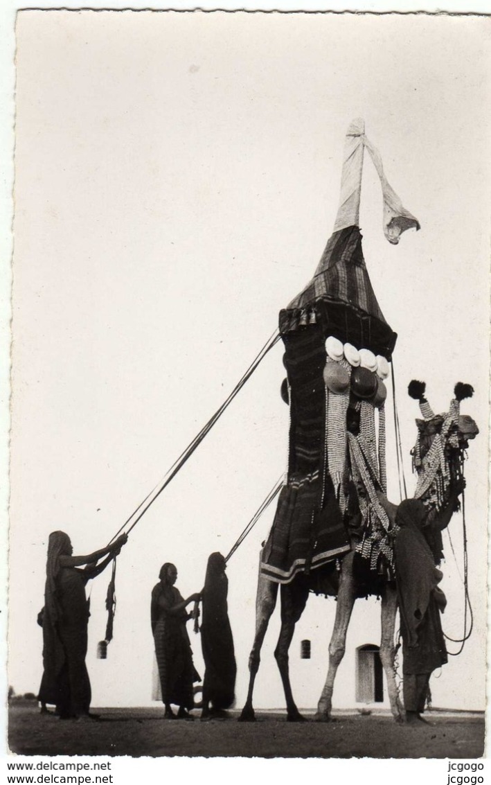 A.O.F.  Mariage Maure: Transport De La Mariée.  Carte Photo  Dakar - Mauritania