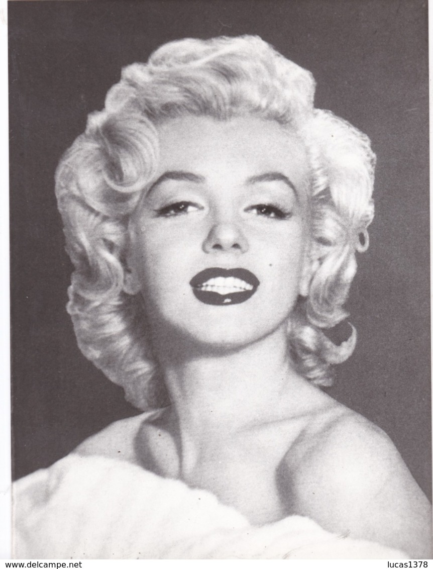 MARYLIN MONROE / TRES  BEAU LOT DE 23 PHOTOS / TOUTES SCANNEES / FORMAT 18X24 - Fotos