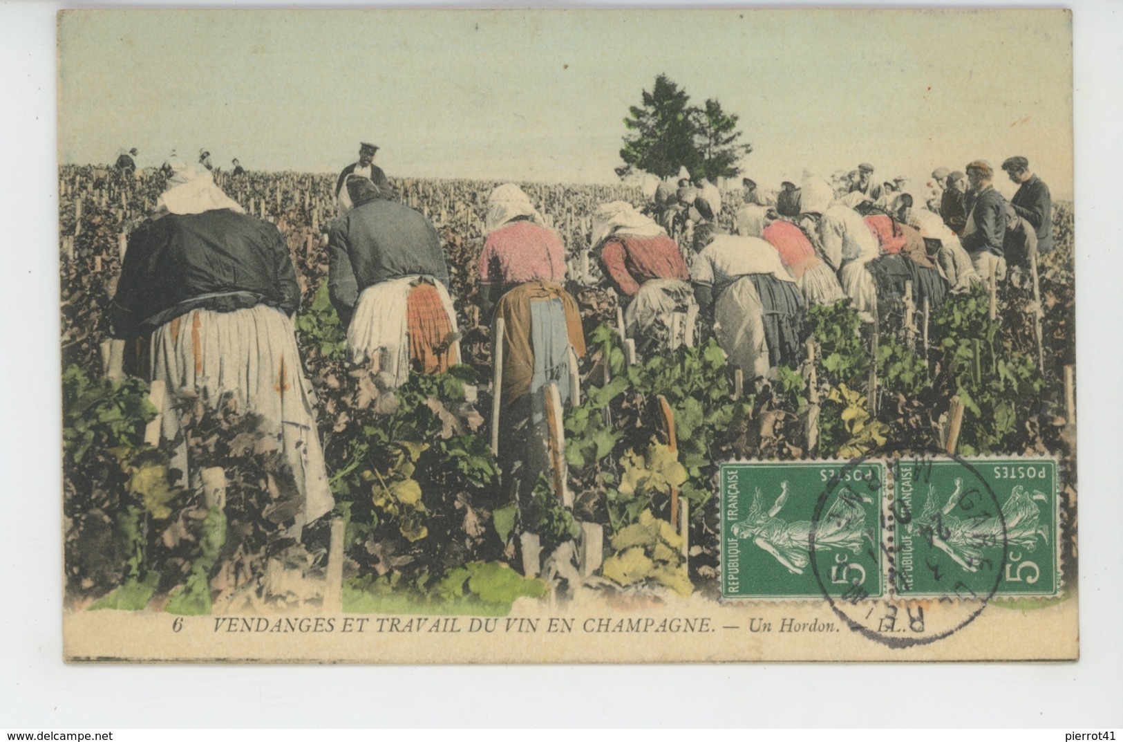 AGRICULTURE - VIGNES - VENDANGES ET TRAVAIL DU VIN EN CHAMPAGNE - Un Hordon - Weinberge