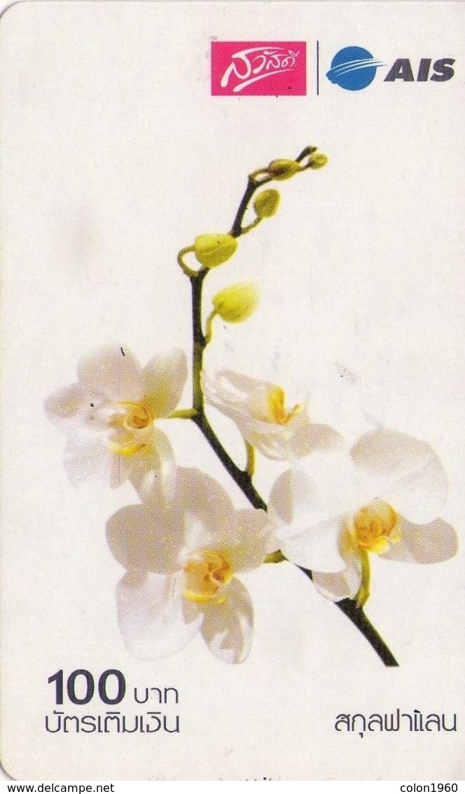 TAILANDIA. FLOWERS - FLORES. ORQUIDEAS. Thailand Orchid -04. 6203. 06/2008. TH-12Call-1271. (060) - Flores