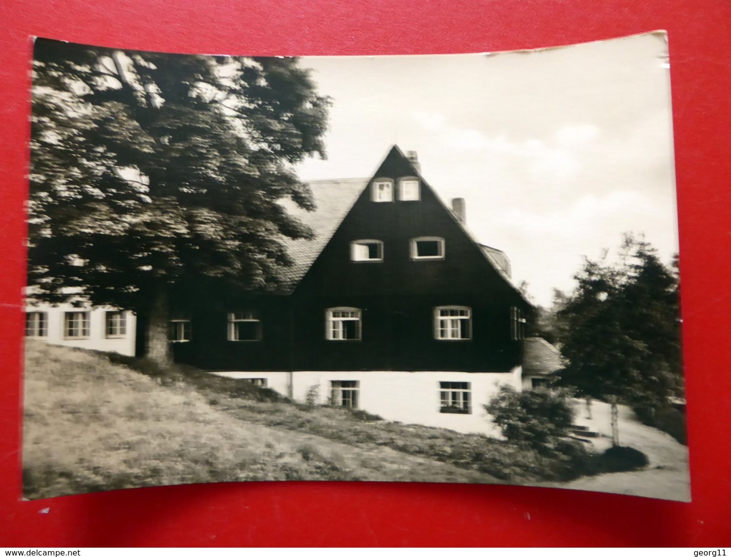 Schellerhau - Kinderheim - Altenberg Erzgebirge - Echt Foto - DDR 1975 - Sachsen - Schellerhau