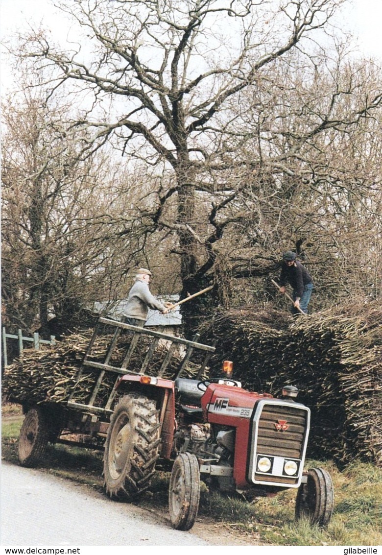 44 - Loire Atlantique -SAINT LYPHARD - Village De Pingrin Dechargement De Fagots- Tracteur - Metier Du Bois - Saint-Lyphard