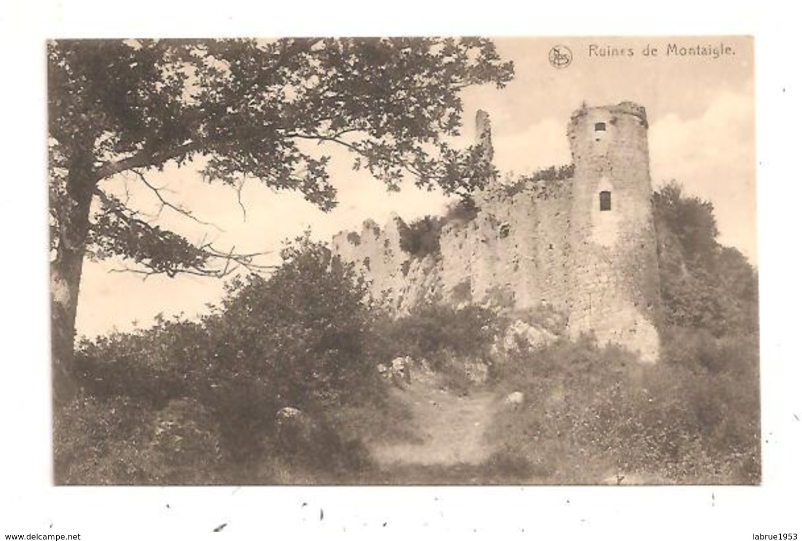 Ruines De Montaigle-(D.3553) - Onhaye