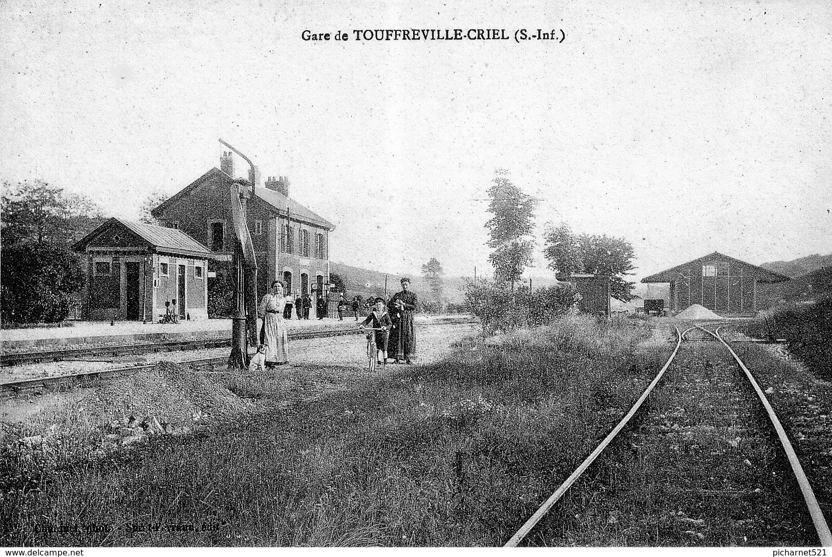 TOUFREVILLE-CRIEL (Seine Maritime) - La Gare. Edition Suret-Perrand. Non Circulée. TB état. - Other & Unclassified