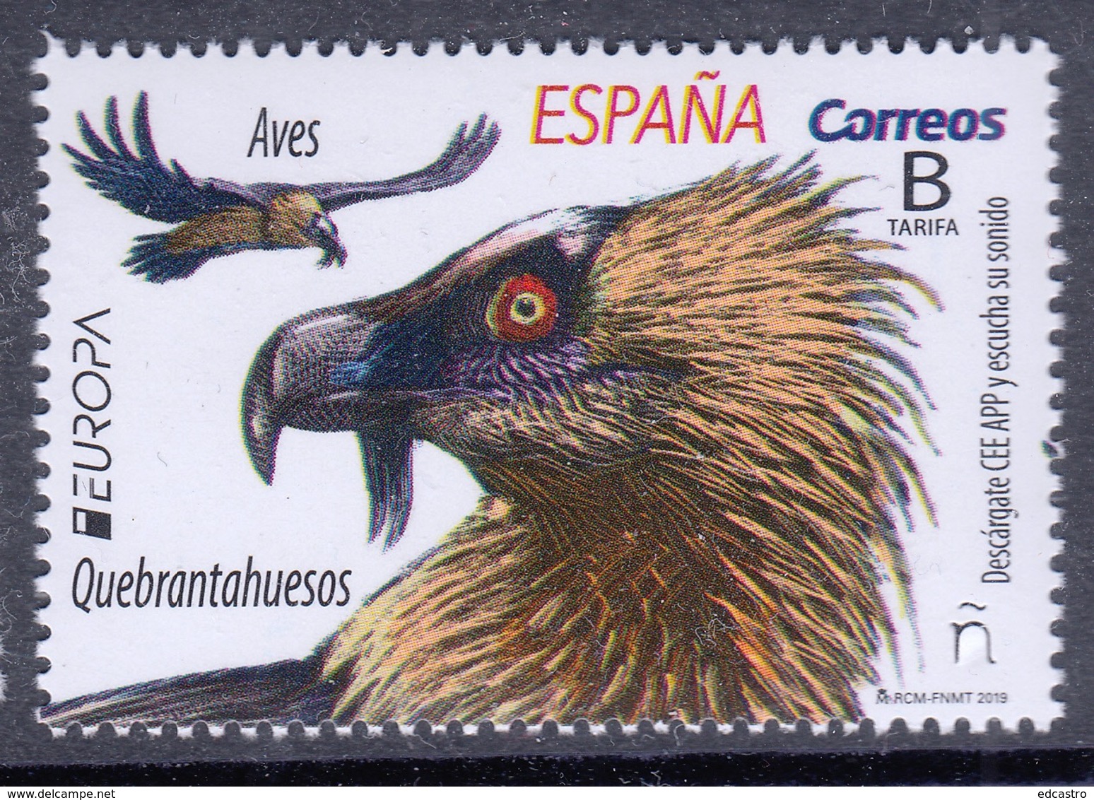 72.- SPAIN ESPAGNE 2019 EUROPA 2019 NATIONAL BIRDS - BIRDS OF PREY - 2019