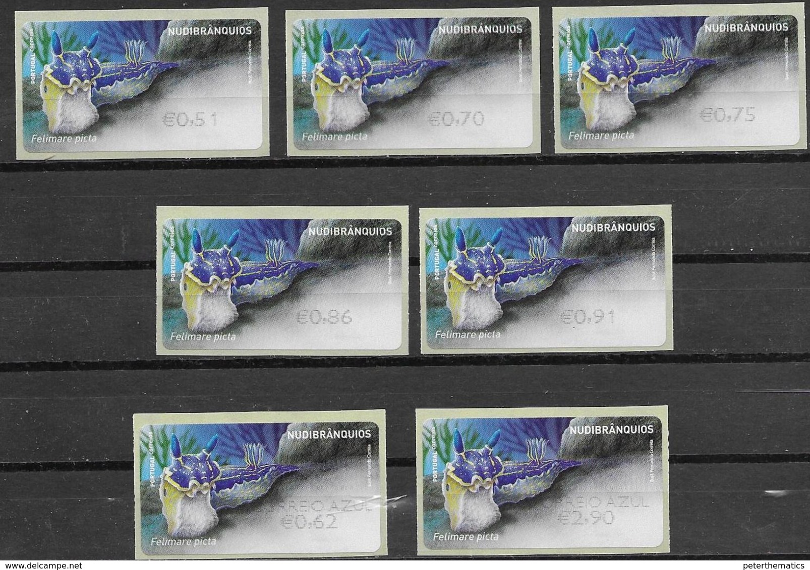 PORTUGAL , 2019, MNH, ATM LABELS, MARINE LIFE, NUDIBRANCHS,  III, 7v - Maritiem Leven