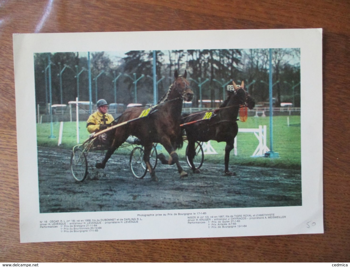 PRIX DE BOURGOGNE LE 17-1-65 OSCAR R.L DRIVER H. LEVESQUE N°18 ET NISOS H DRIVER R. KRUGER N°10  27cm/18cm - Sport