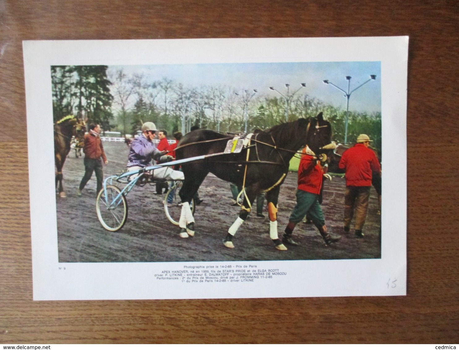 PRIX DE PARIS LE 14-2-65 APEX HANOVER DRIVER P. LITKINE PROPRIETAIRE HARAS DE MOSCOU  27cm/18cm - Sport